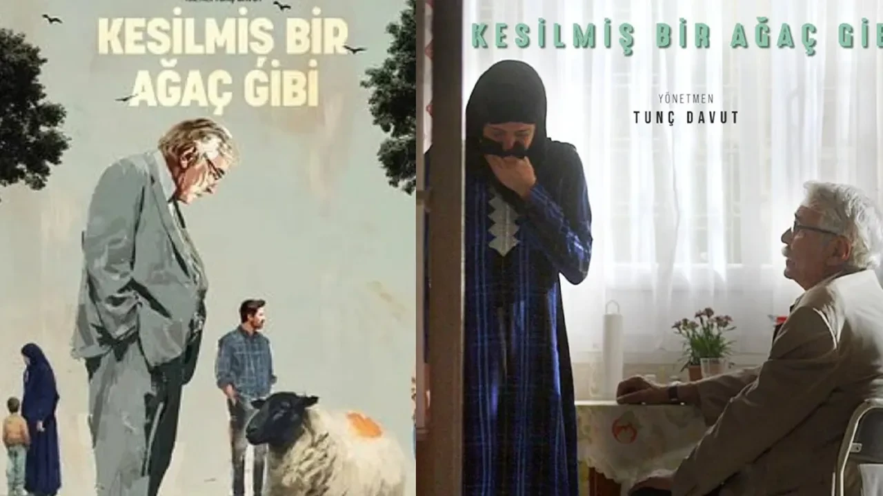Türkiye'nin Oscar adayı 'Kesilmiş Bir Ağaç Gibi' oldu! 'Kesilmiş Bir Ağaç Gibi' filminin konusu ne, oyuncuları kimler?