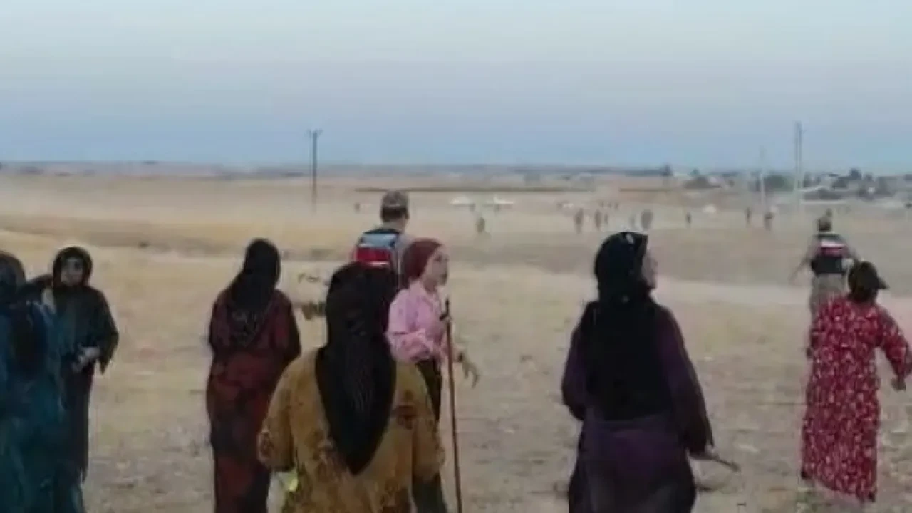 Husumetli aileler tarlada birbirine girdi! O anlar kamerada