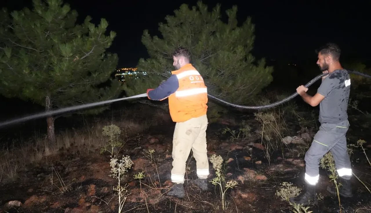 Kırıkkale'deki orman yangınına kuşlar sebep oldu