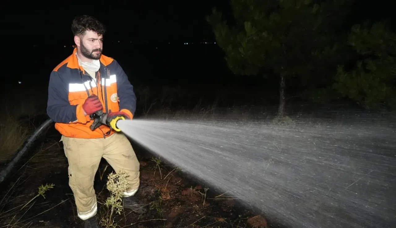 Kırıkkale'deki orman yangınına kuşlar sebep oldu