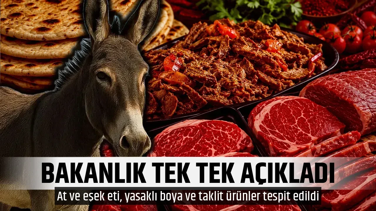 BAKANLIK TEK TEK AÇIKLADI
