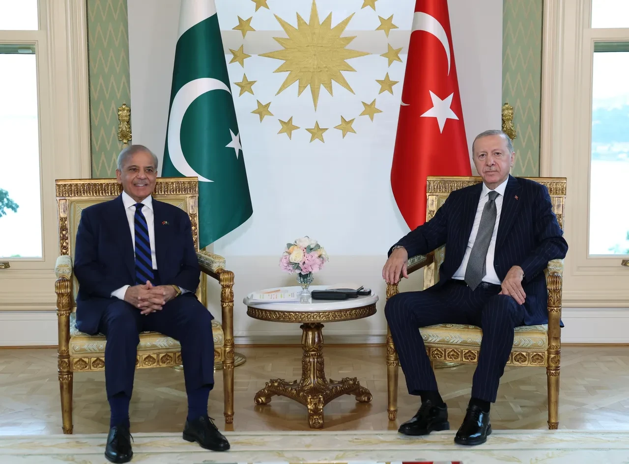 Cumhurbaşkanı Erdoğan, Pakistan Başbakanı Şerif'i kabul etti