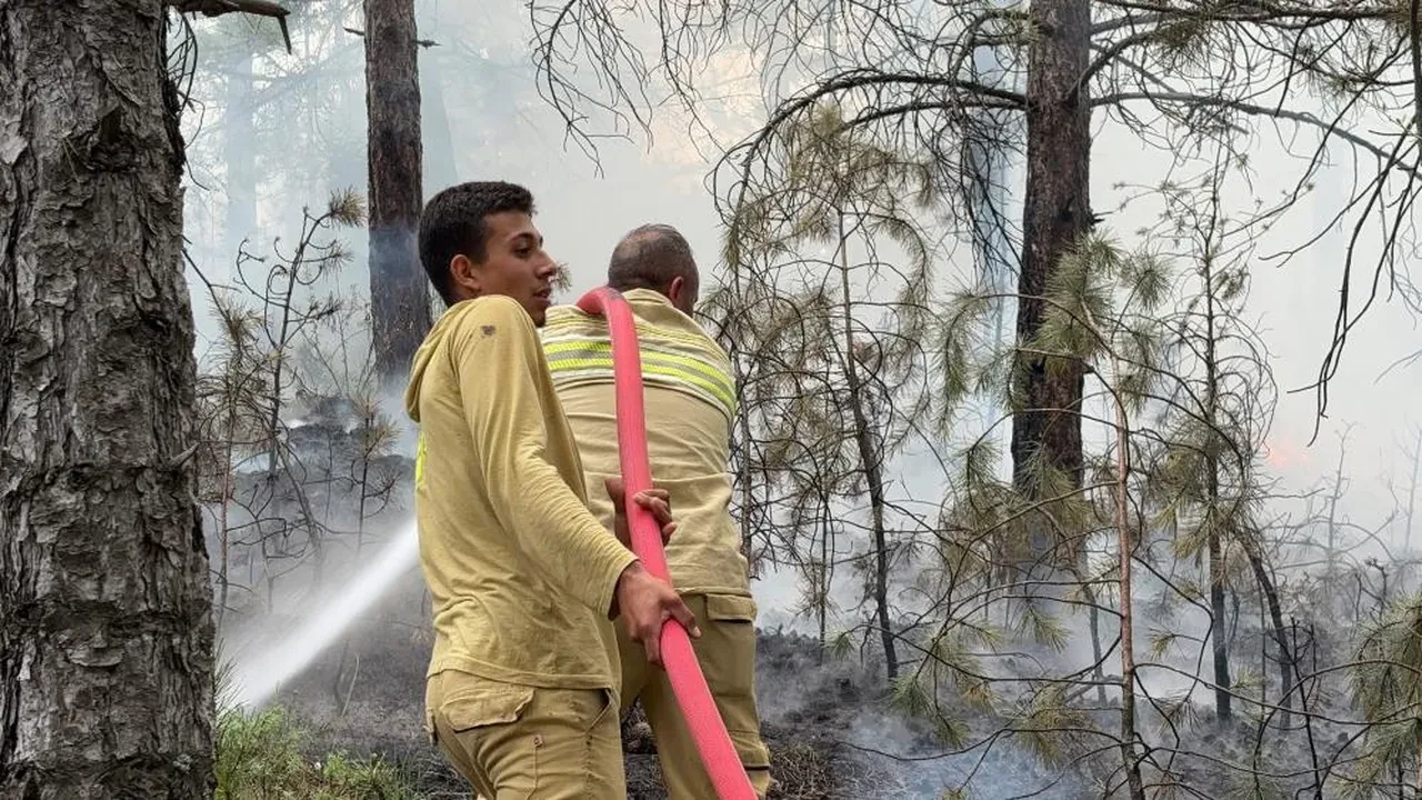 Kütahya'da orman yangını