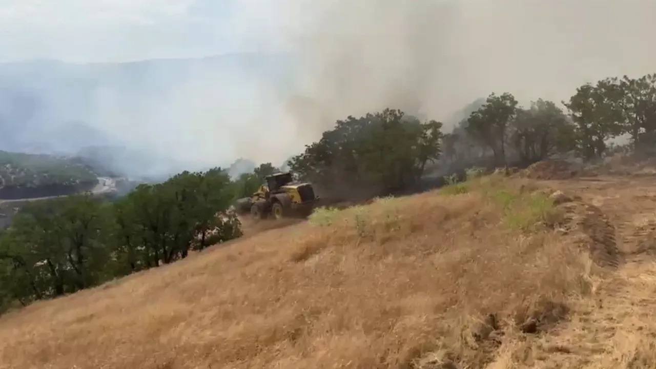 Malatya'da orman yangını