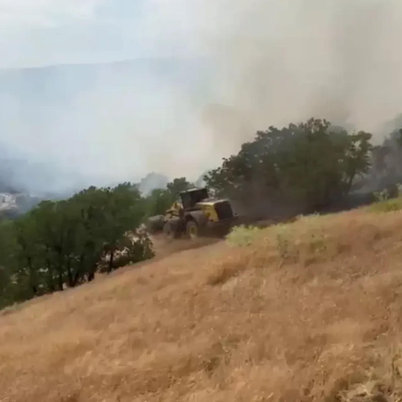 Malatya'da orman yangını