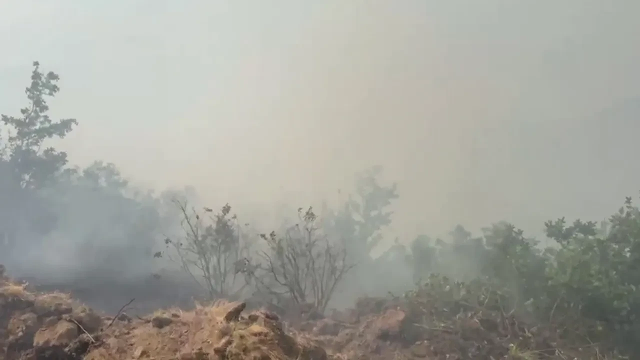 Malatya'da orman yangını