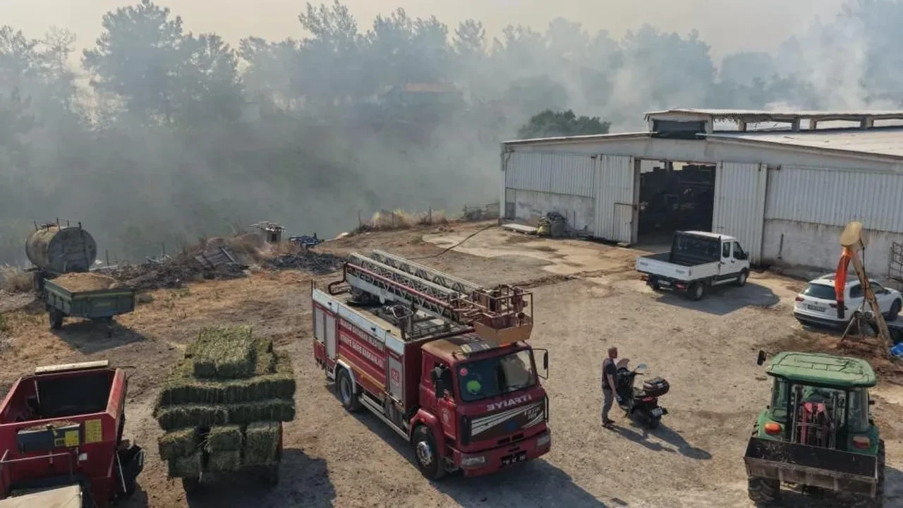 Balıkesir'de 3 bölgede birden orman yangını çıktı! Alevlerle mücadele sürüyor