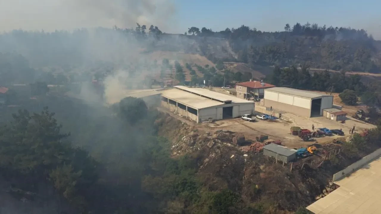 Balıkesir'de 3 bölgede birden orman yangını çıktı! Alevlerle mücadele sürüyor