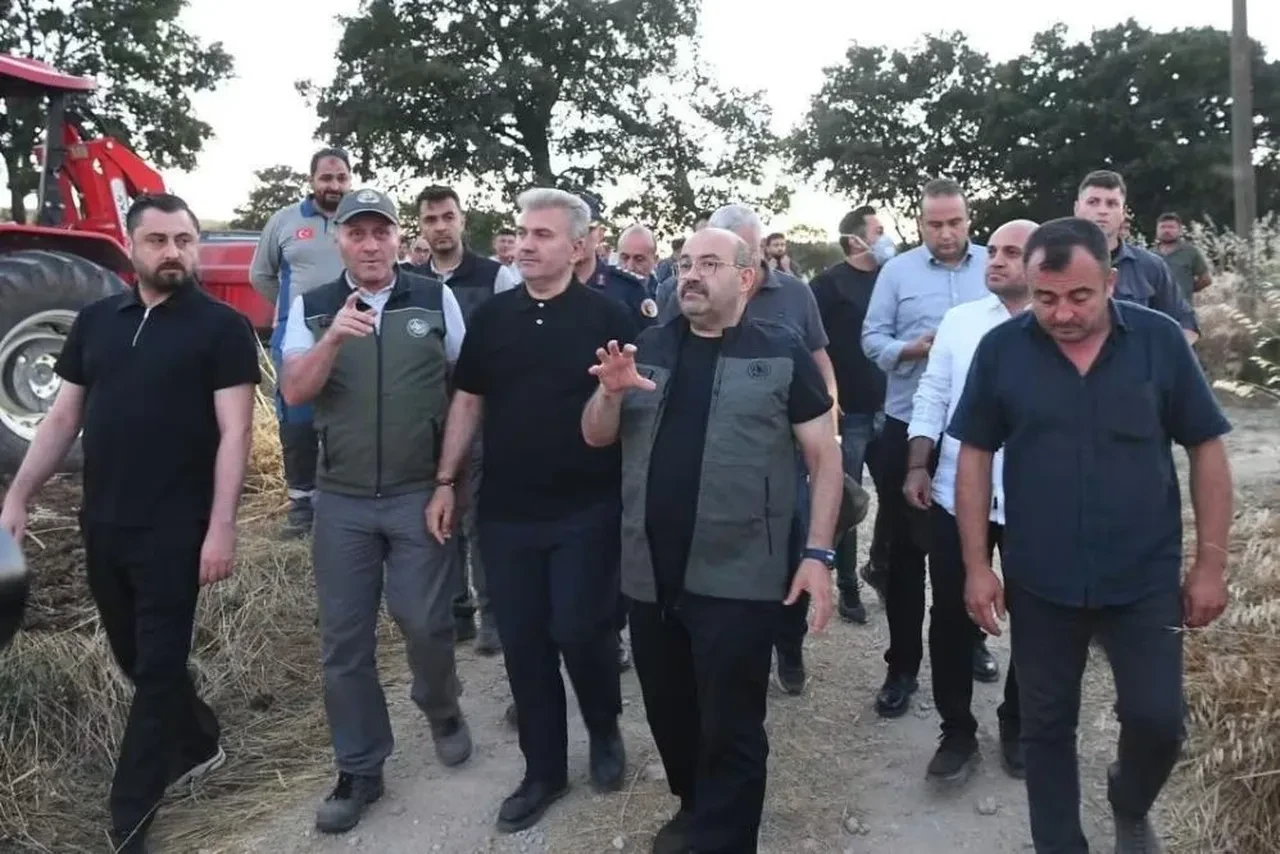 Balıkesir'de 3 bölgede birden orman yangını çıktı! Alevlerle mücadele sürüyor