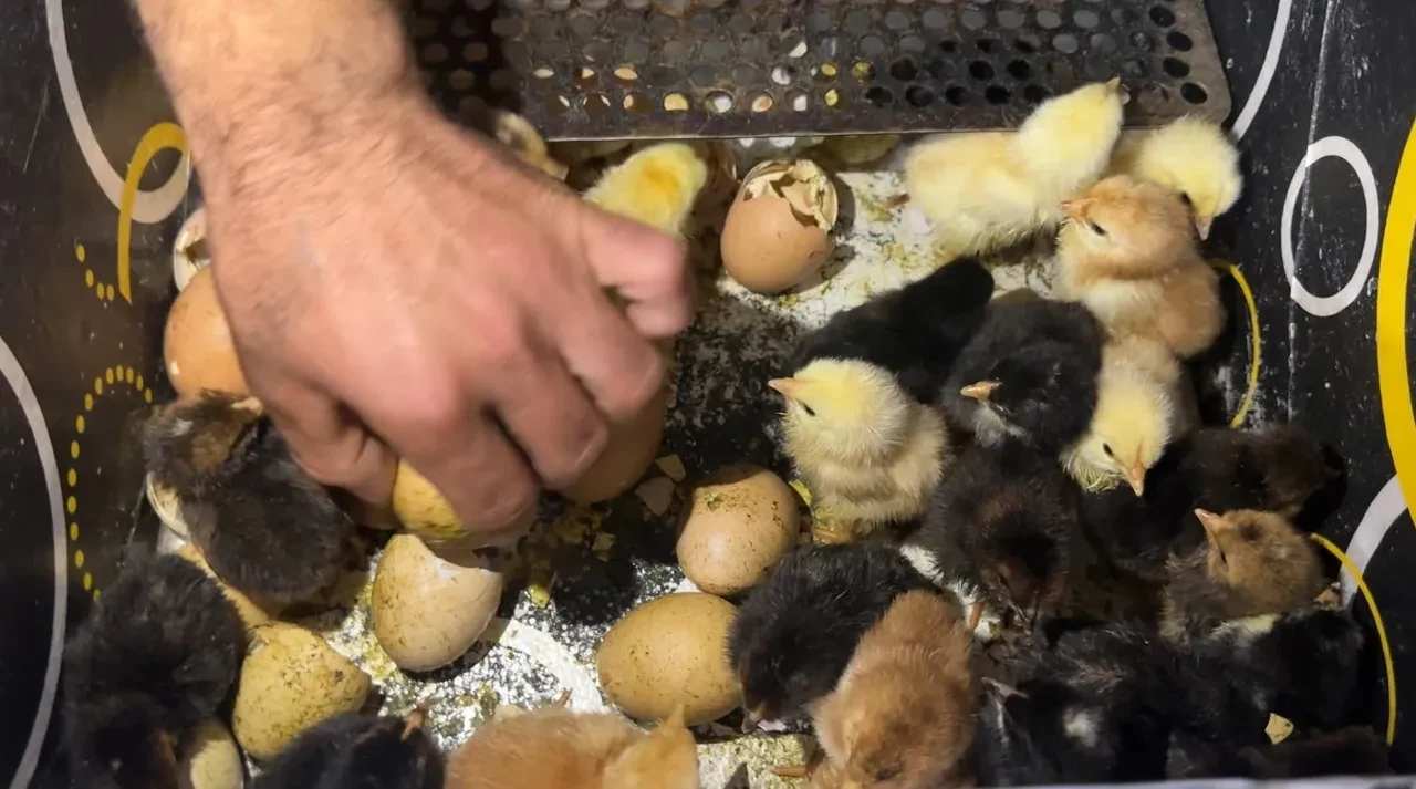 İzlediği belgeselle hayatı değişti! Oto yıkama dükkanı, üretim merkezine döndü