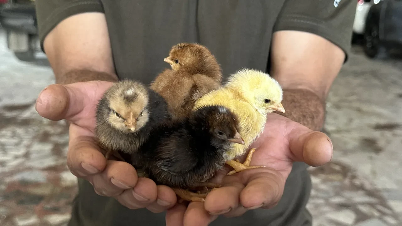 İzlediği belgeselle hayatı değişti! Oto yıkama dükkanı, üretim merkezine döndü