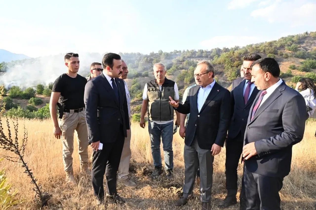 Malatya'da orman yangını! Mücadele saatler sürdü
