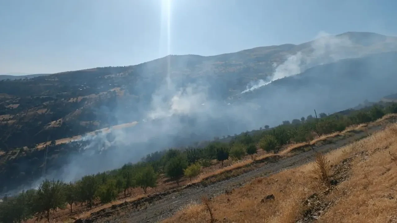 Malatya'da orman yangını! Mücadele saatler sürdü