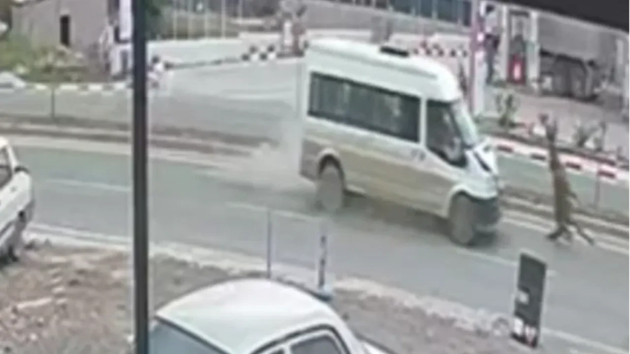 Yola fırlayan ata minibüs çarptı! O anlar kamerada