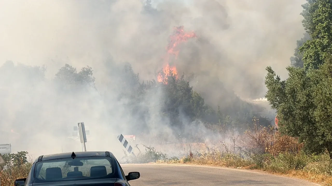 İznik’te korkutan yangın! Çalışmalar havadan ve karadan devam ediyor
