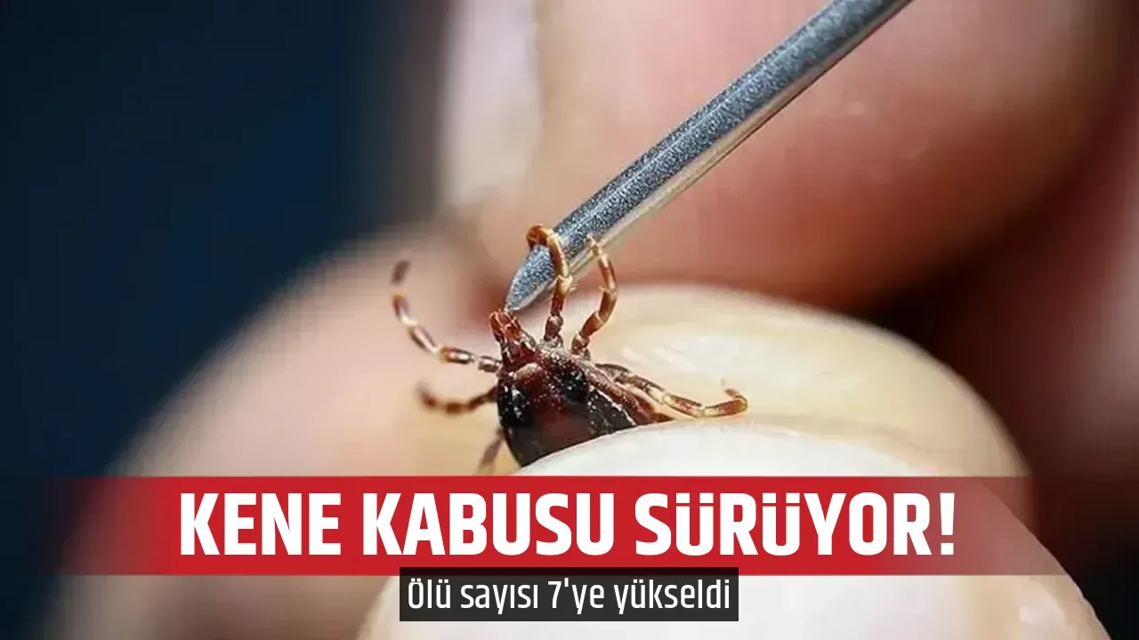 KENE KABUSU SÜRÜYOR!