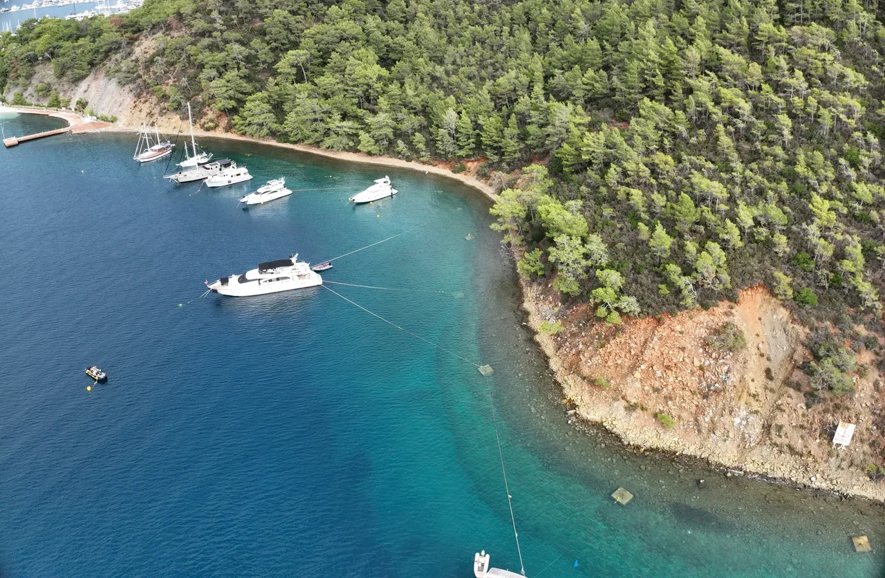 Koylar dijital Mapa-Şamandıra ile koruma altında!