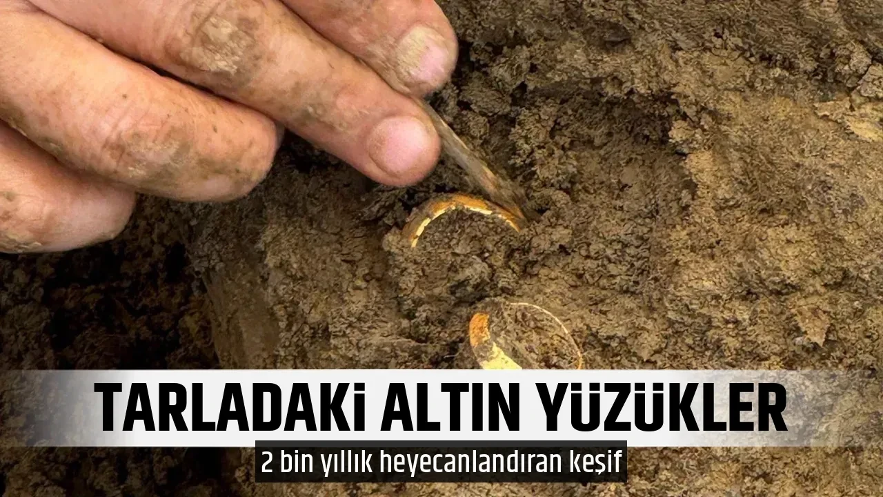 TARLADAKİ ALTIN YÜZÜKLER