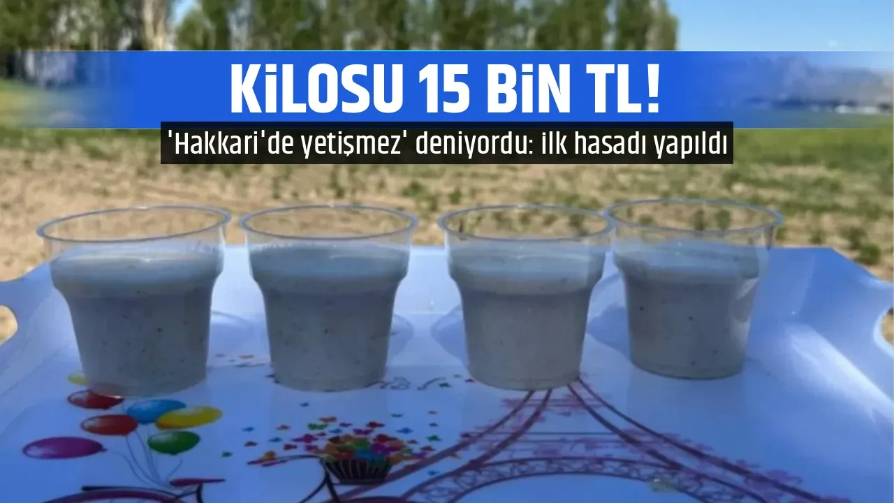 KİLOSU 15 BİN TL!
