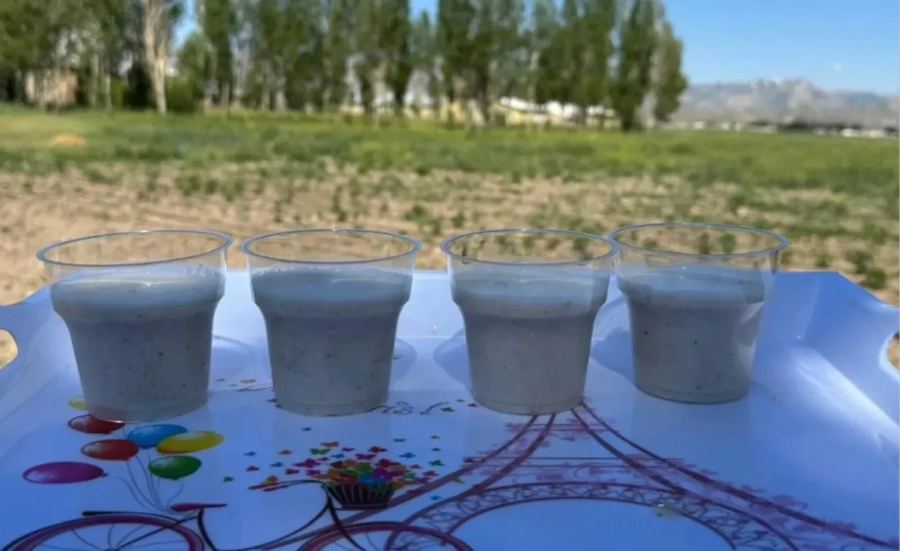 'Hakkari'de yetişmez' deniyordu, kilosu 15 bin liradan satılıyor! İlk hasadı yapıldı