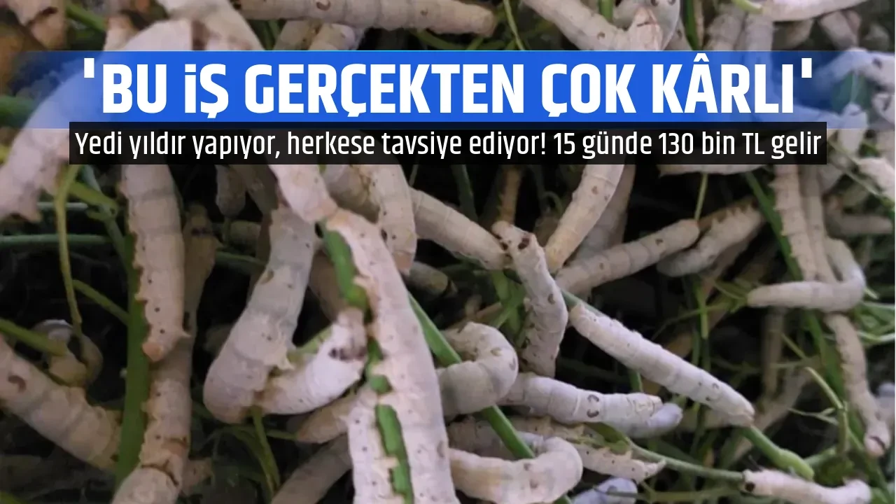 'BU İŞ GERÇEKTEN ÇOK KÂRLI'