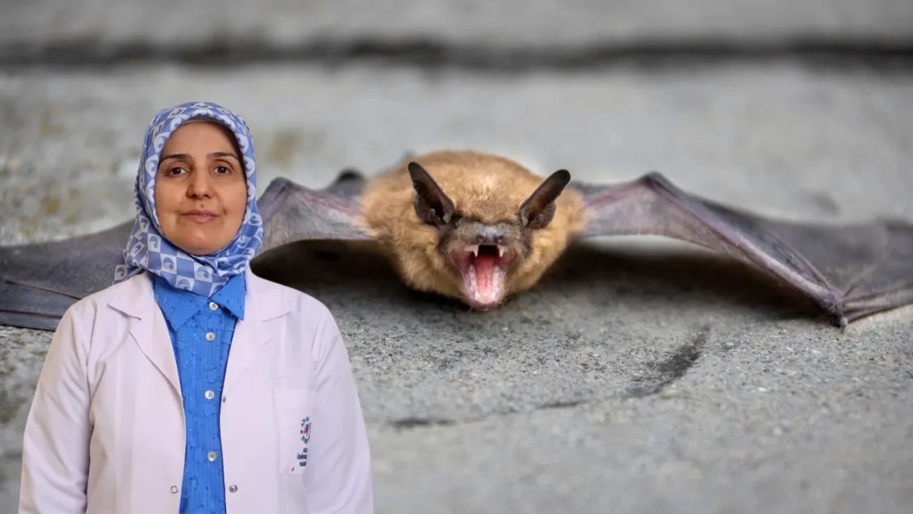 Yüzüne yarasa dokunan çocuğun ölümü sarstı! Yarasalarda virüs mü var? Uzman isimlerden kritik uyarılar