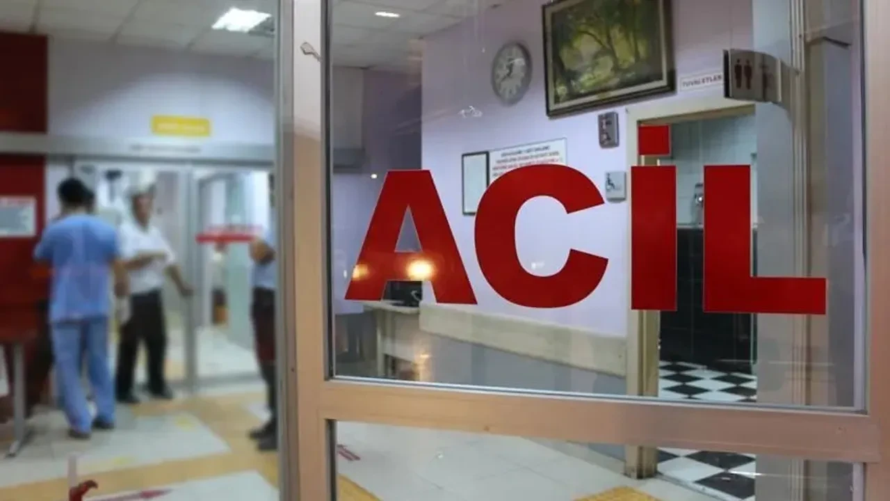 Kastamonu'da üzerine ağaç devrilen orman işçisi 75 gün sonra yaşam mücadelesini kaybetti