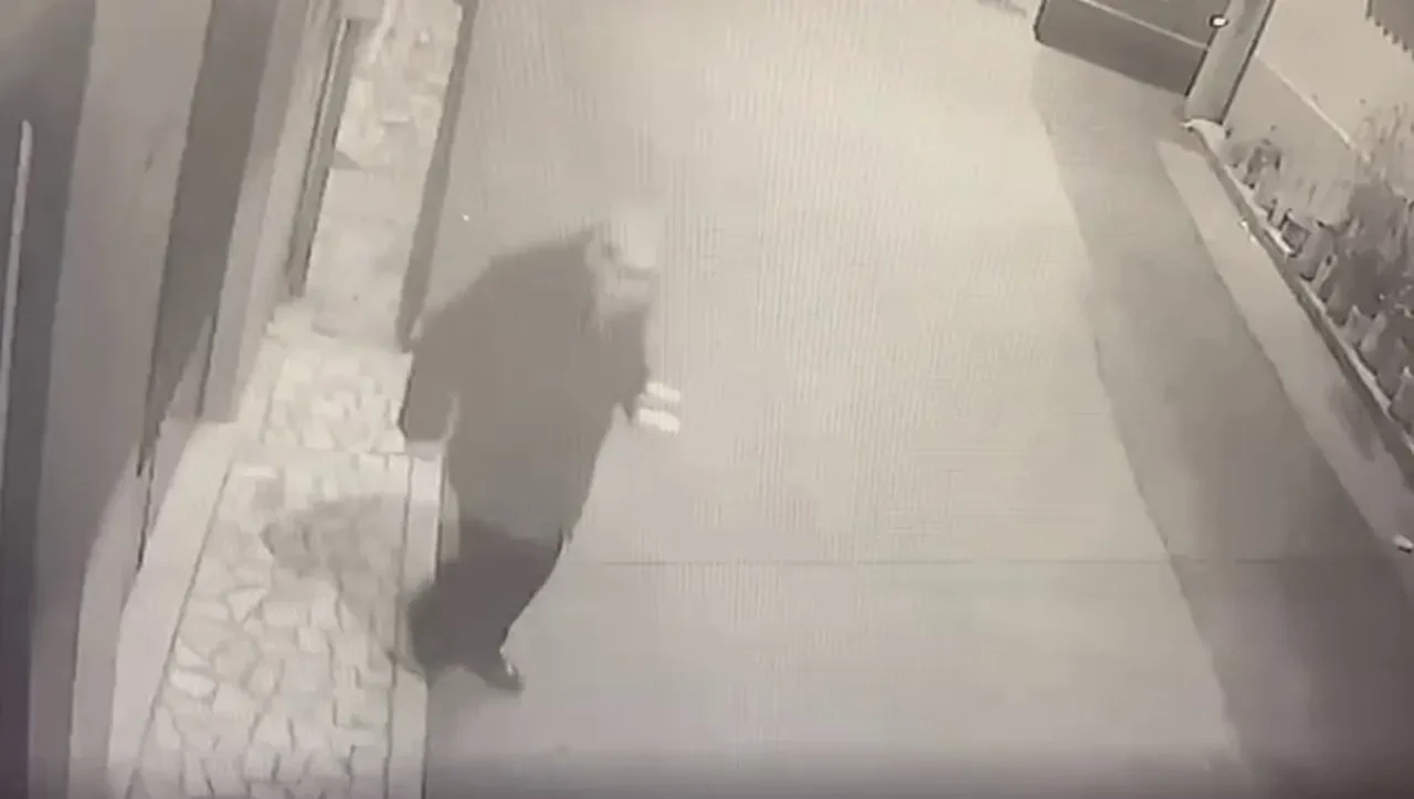 Kocasını 15 parçaya ayıran kadının mahkemedeki sözleri kan dondurdu! "Çok kurban kestim, zor olmadı"