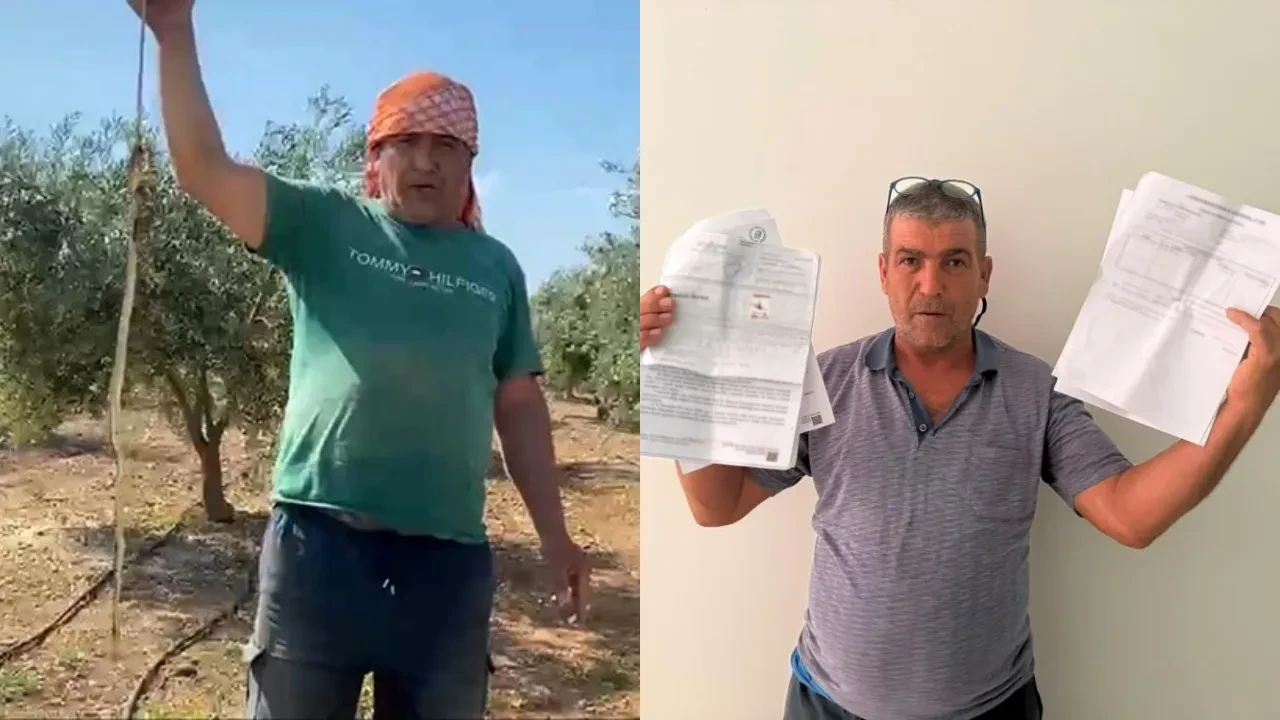 ‘Yılanı Öldürdüm’ diye hava attı, gelen cezayı görünce af diledi