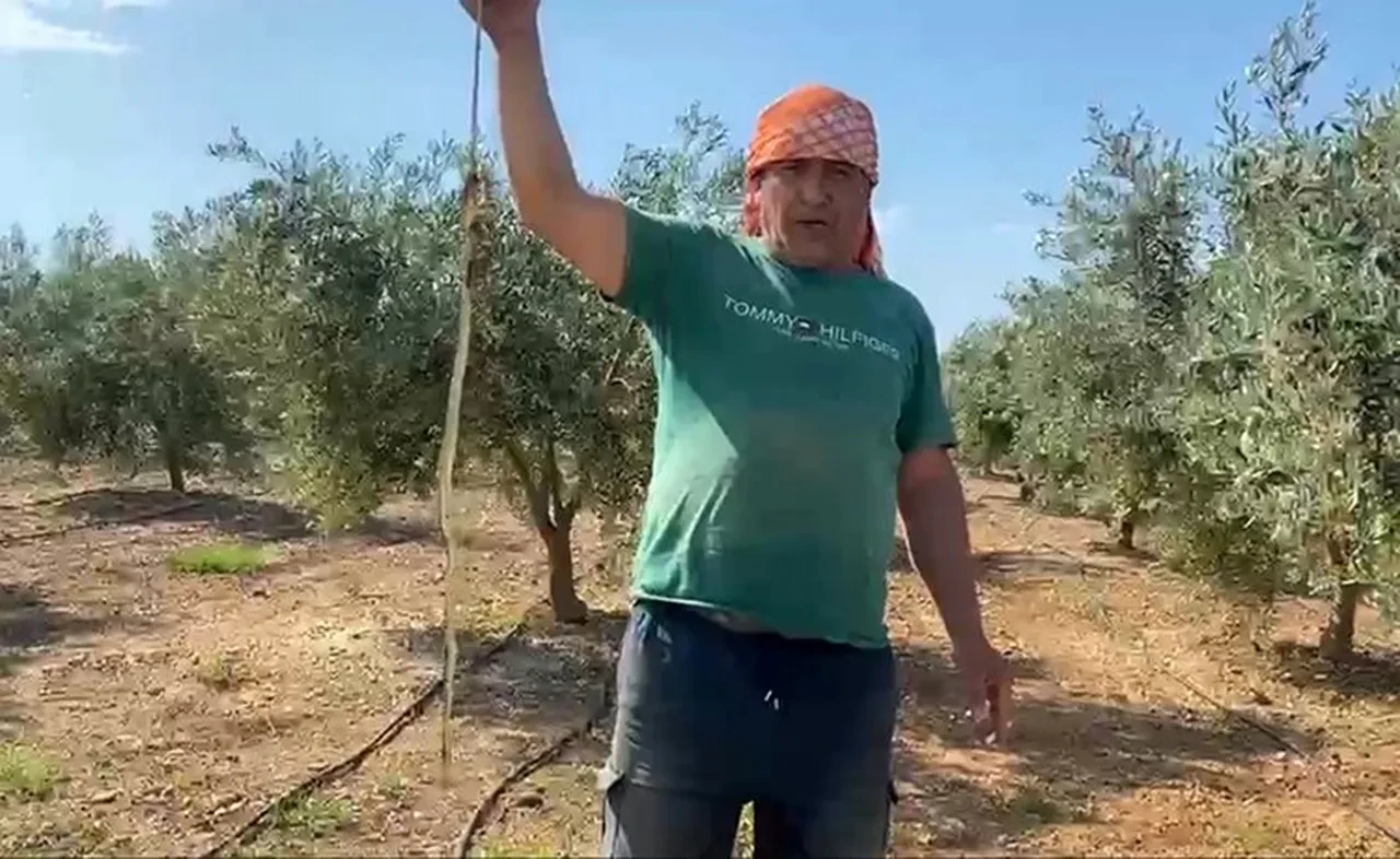 ‘Yılanı Öldürdüm’ diye hava attı, gelen cezayı görünce af diledi