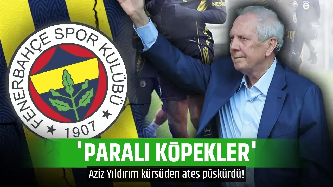'PARALI KÖPEKLER'