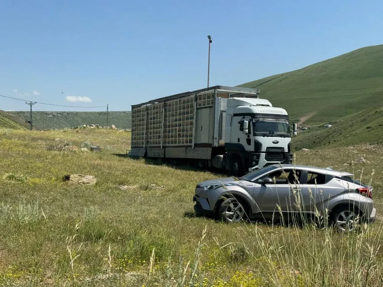 Kars'ta tır dorsesinde mobil arı üretim üssü! Türkiye'de ilk olan yöntemle 340 kovandan bal alınıyor