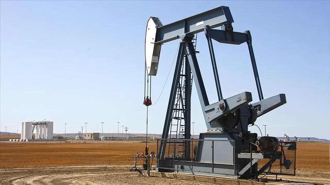 Türkiye'nin petrol hamlesi: Çeşitlendirilmiş tedarik ve üretim ortaklıkları