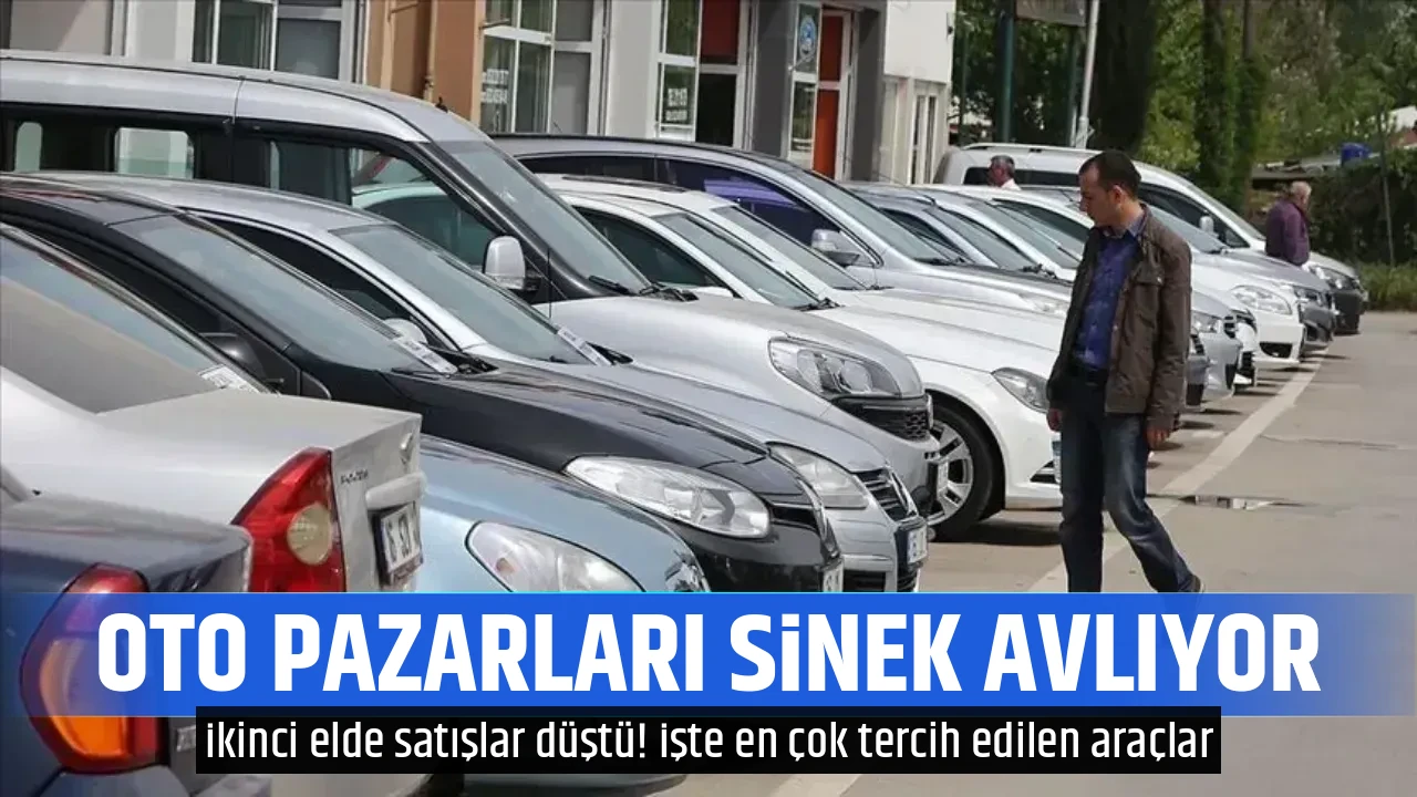 OTO PAZARLARI SİNEK AVLIYOR