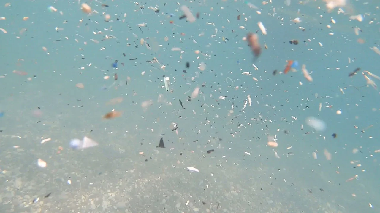 Mikroplastik 'zehri' yavaş yavaş yayılıyor, Akdeniz felakete sürükleniyor! Bakanlık devrede, tesislere ceza yağdı