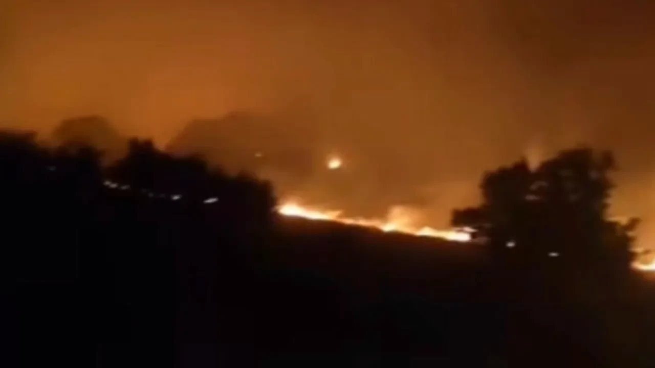 Adıyaman'da orman yangını: Alevlerle mücadele sürüyor