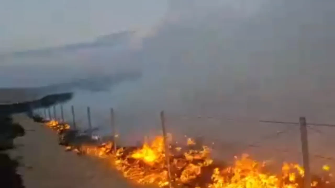 Ankara'da SİT alanında yangın çıkaran şahısla ilgili karar