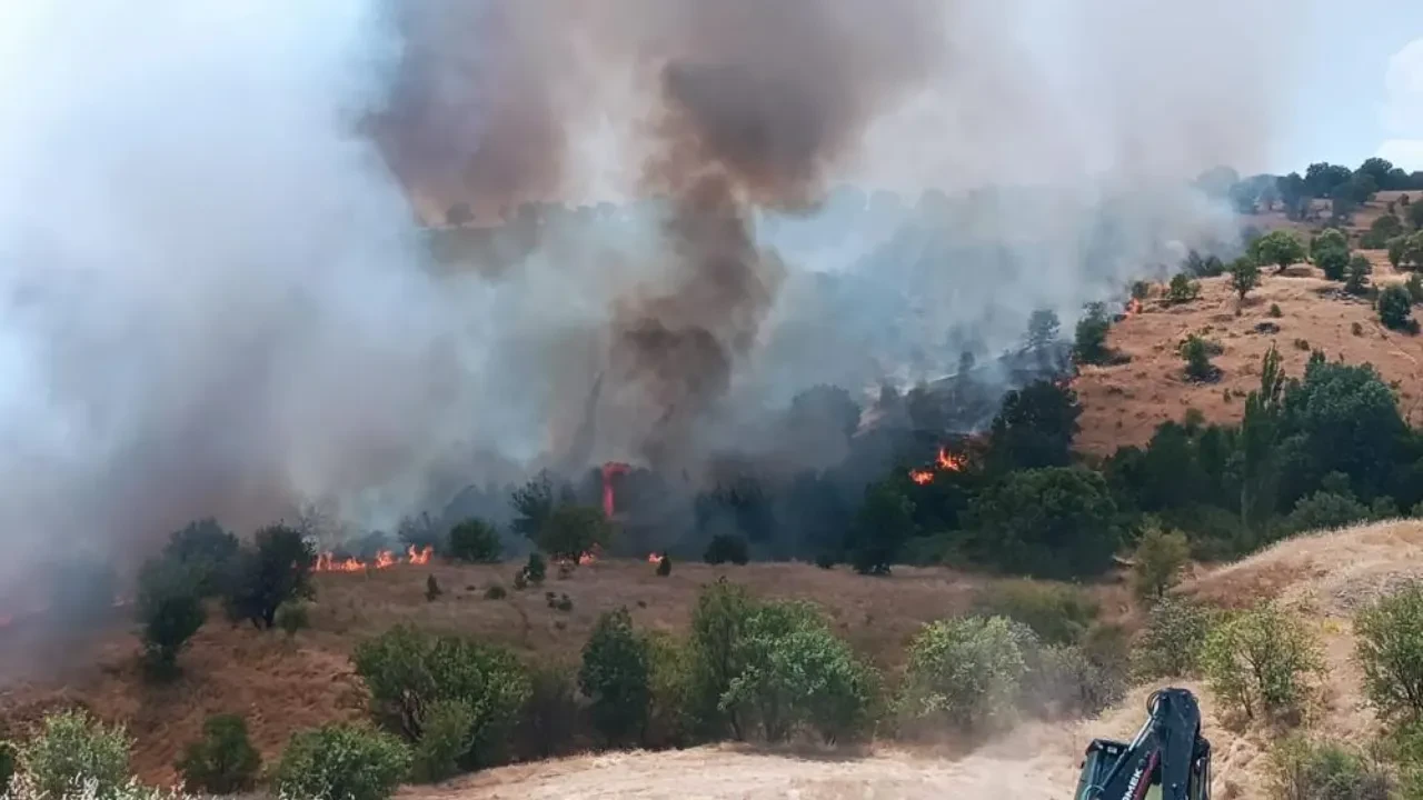 Malatya Pütürge'de orman yangını! Alevlere havadan ve karadan müdahale sürüyor
