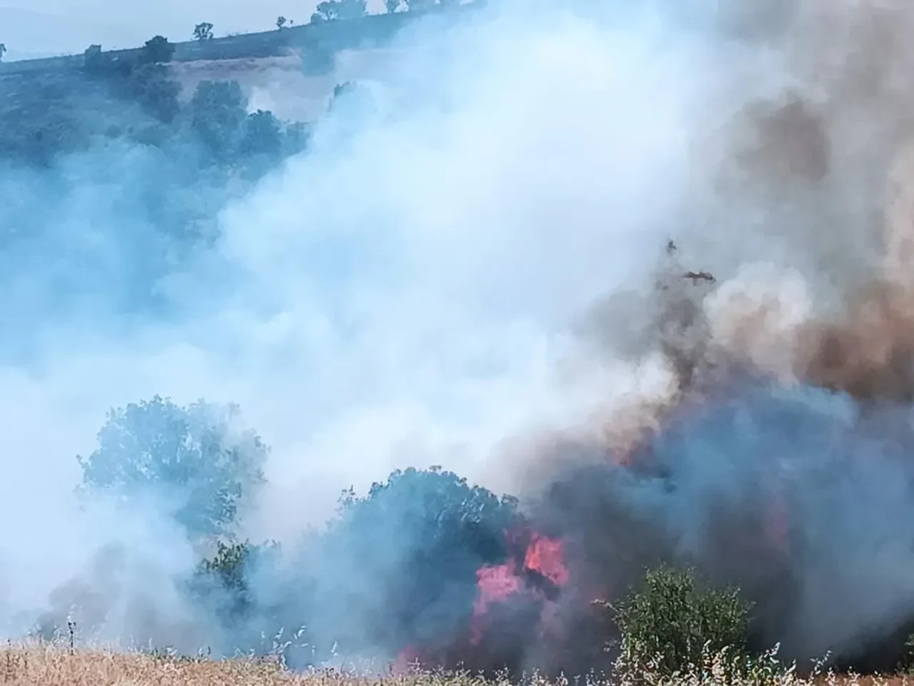Malatya Pütürge'de orman yangını! Alevlere havadan ve karadan müdahale sürüyor