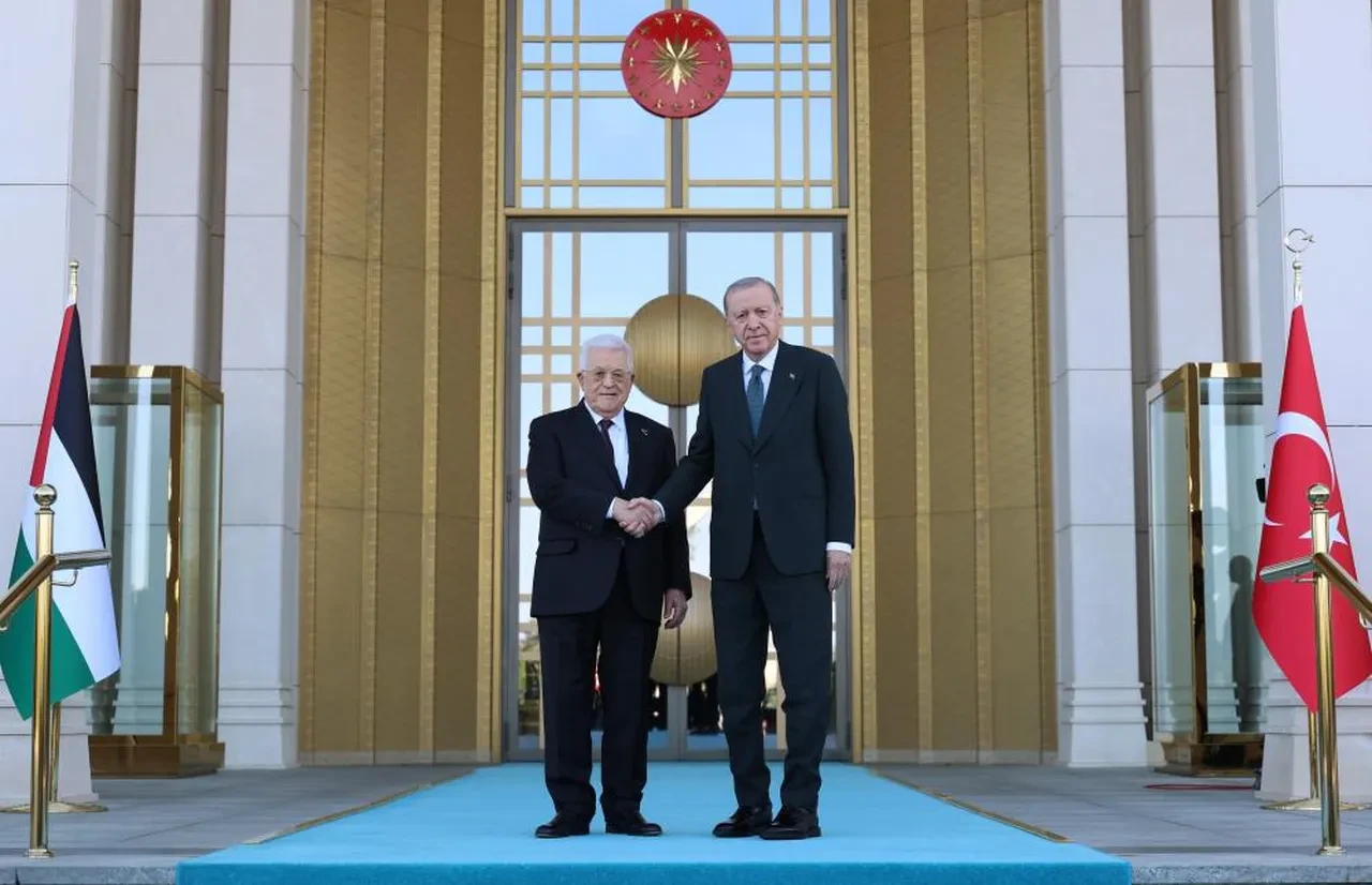 Cumhurbaşkanı Erdoğan'dan Mahmud Abbas'la görüşme sonrası Netanyahu'ya net mesaj: Ne yaparsa yapsın başarılı olamayacak