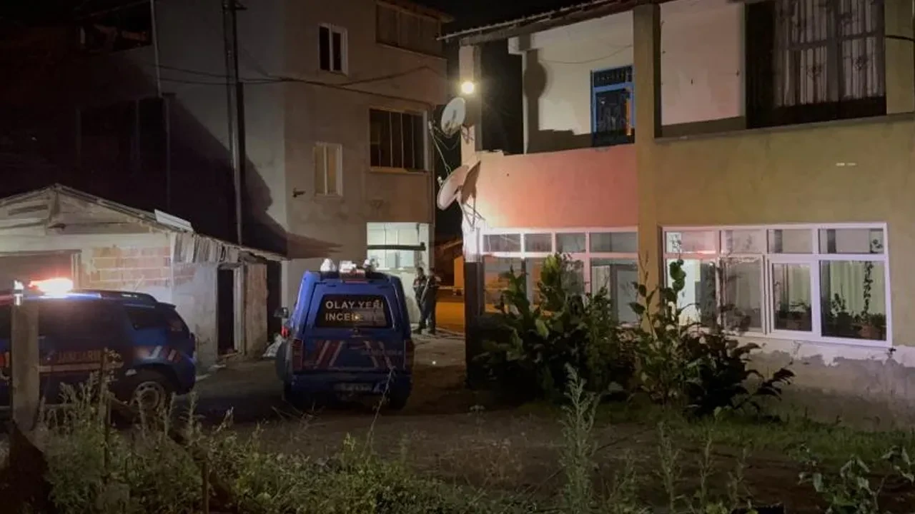 Fransa'dan Samsun'a fındık toplamaya geldi! Ağaç dalı için amcasını öldürdü
