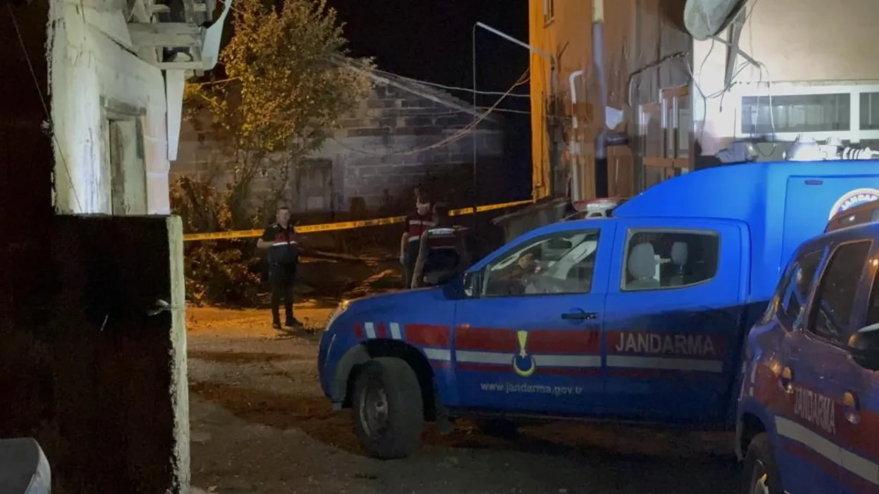 Fransa'dan Samsun'a fındık toplamaya geldi! Ağaç dalı için amcasını öldürdü