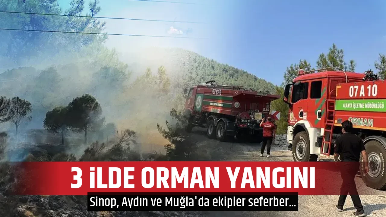 3 İLDE ORMAN YANGINI