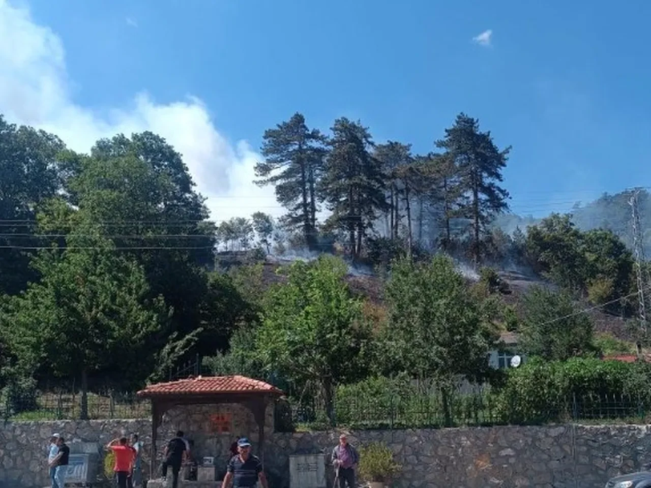 Sinop, Aydın ve Muğla'da orman yangını! Ekiplerin alevlerle mücadelesi sürüyor