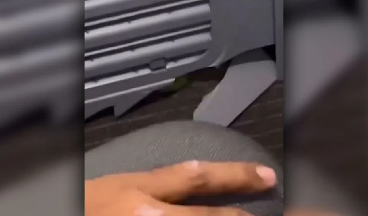 Uçakta cinayete teşebbüs! Herkesin hayatını tehlikeye attı