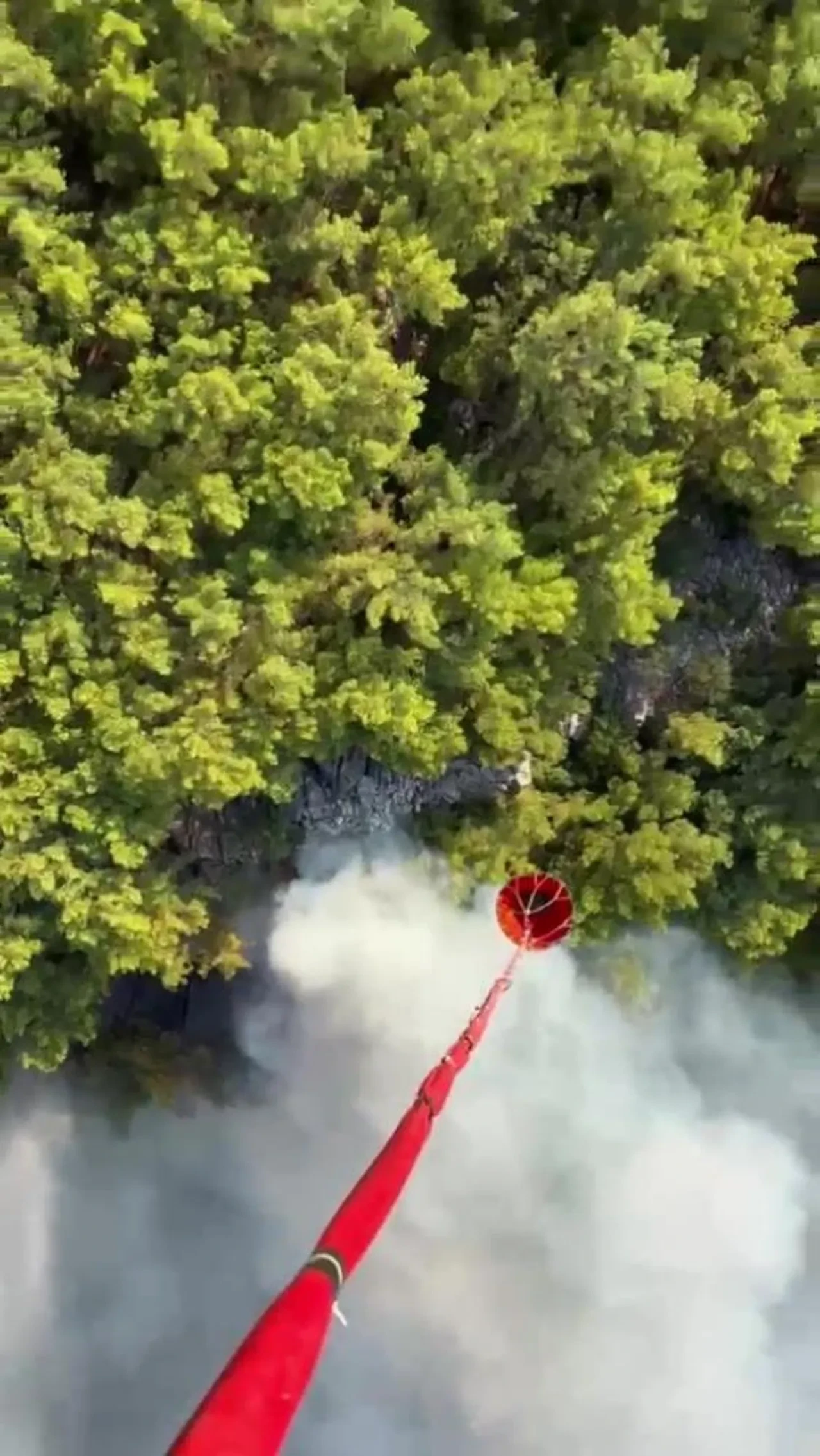 Antalya Kemer'de korkutan orman yangını: Havadan ve karadan müdahale başlatıldı