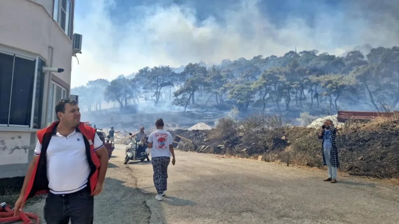 Balıkesir Edremit'te orman yangını! Alevler yerleşim yerlerine doğru ilerliyor