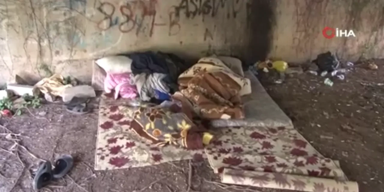 Ev sahibi evden çıkardı köprü altında yaşamaya başladı! Yaşlı adam ölü bulundu