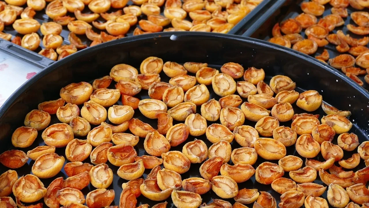 Malatyalı yengemden öğrendim! Evde kayısı kurutmak çok kolay