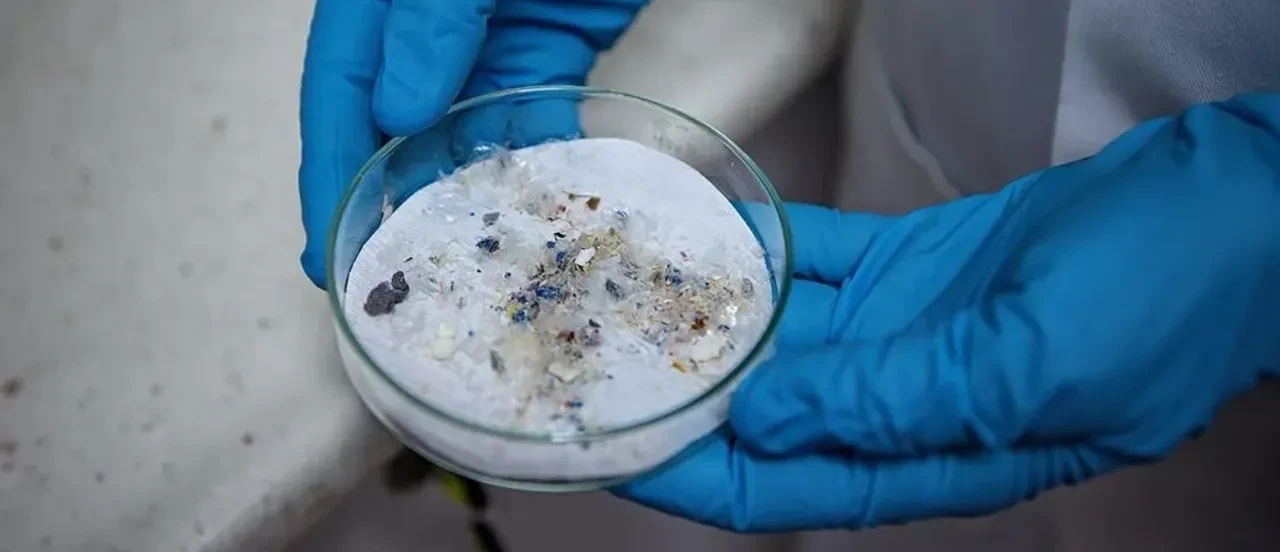 Masmavi sularda mikroplastik alarmı! Samed Ağırbaş riskli bölgeleri tek tek açıkladı!